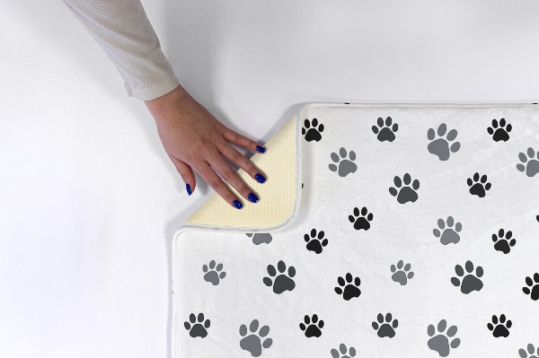 Tapis Empreintes de pattes sur fond blanc