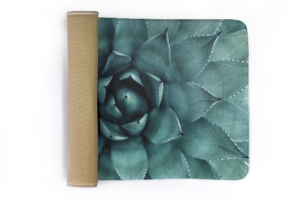 Petit tapis Plante succulente vue d'en haut