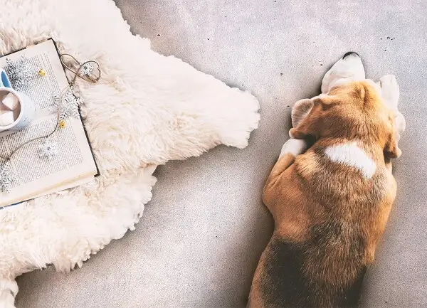 Tapis en vinyl Béton lisse