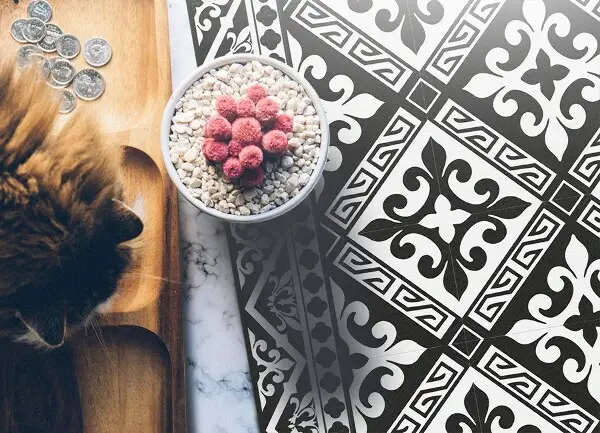 Tapis vinyl Motifs géométriques