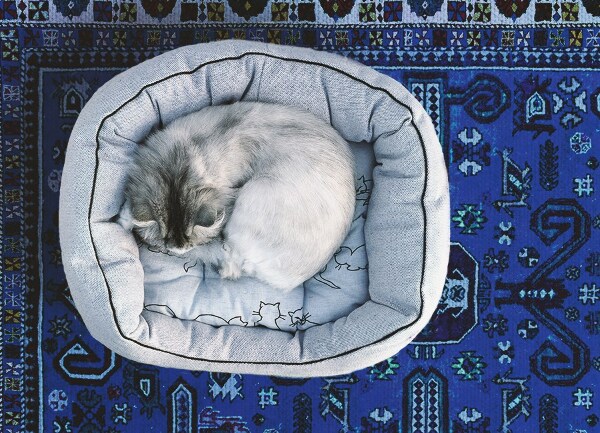 Tapis vinyle Style oriental