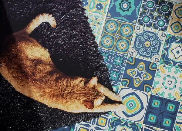 Tapis en vinyle Tuiles espagnoles