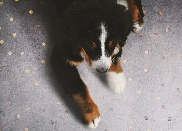 Tapis en vinyl Pois dorés