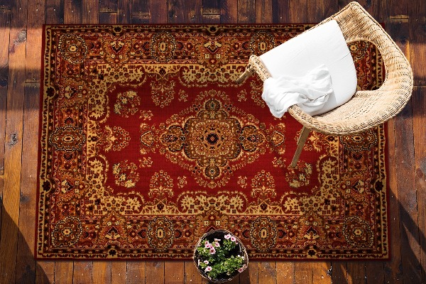 Tapis d'extérieur Texture persane