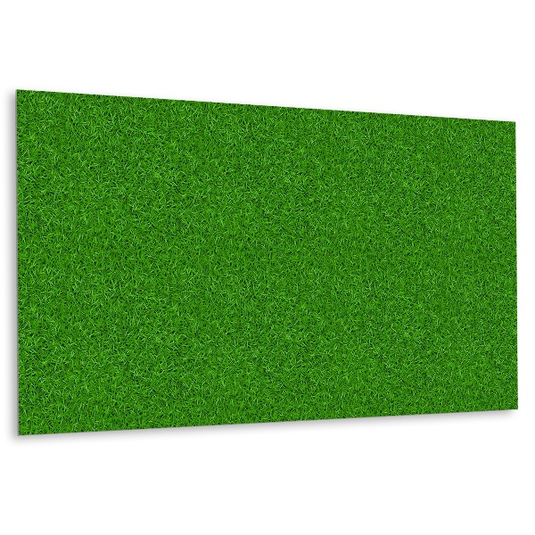 Panneau décoratif Texture de l'herbe décorative