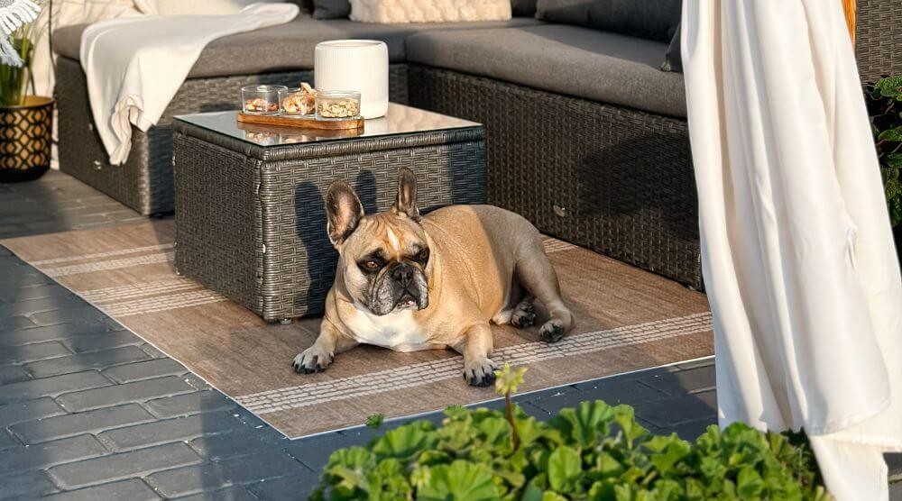 tapis pour animaux de compagnie