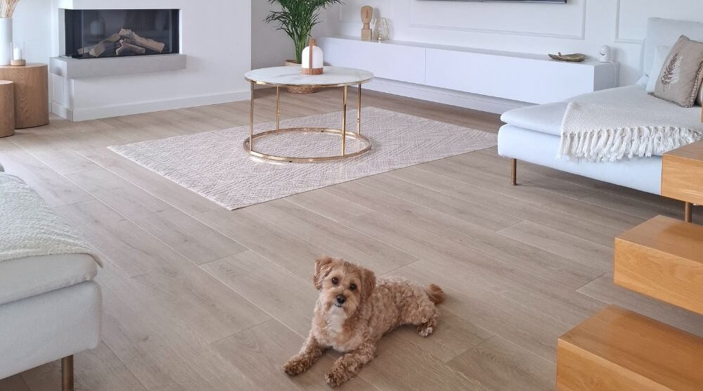 tapis pour animaux de compagnie