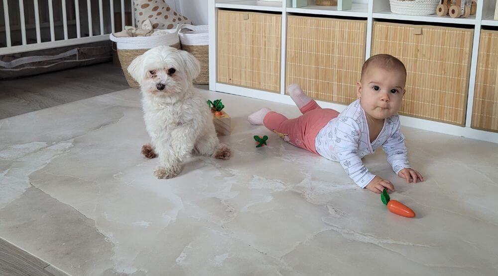 tapis pour animaux de compagnie